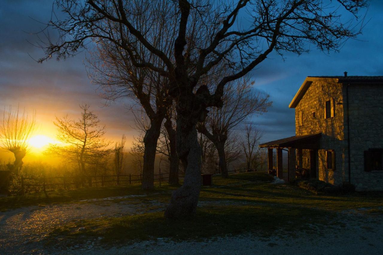 Fattoria Bio L'A Ceccoli Villa Sasso Feltrio Exterior foto