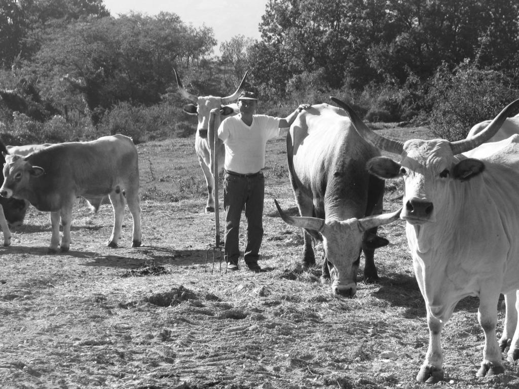 Fattoria Bio L'A Ceccoli Villa Sasso Feltrio Exterior foto