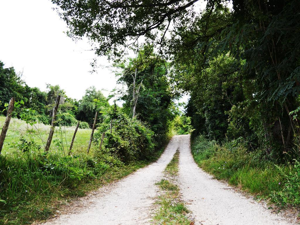 Fattoria Bio L'A Ceccoli Villa Sasso Feltrio Exterior foto