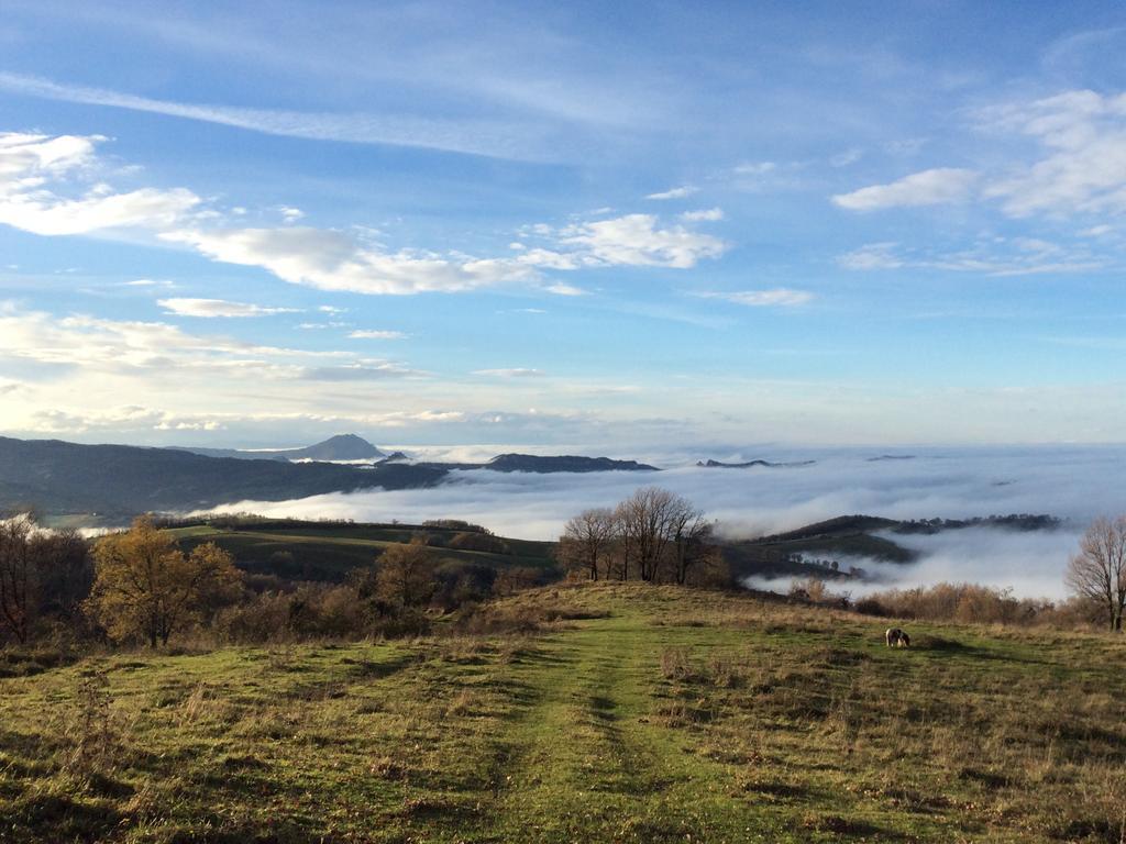 Fattoria Bio L'A Ceccoli Villa Sasso Feltrio Exterior foto