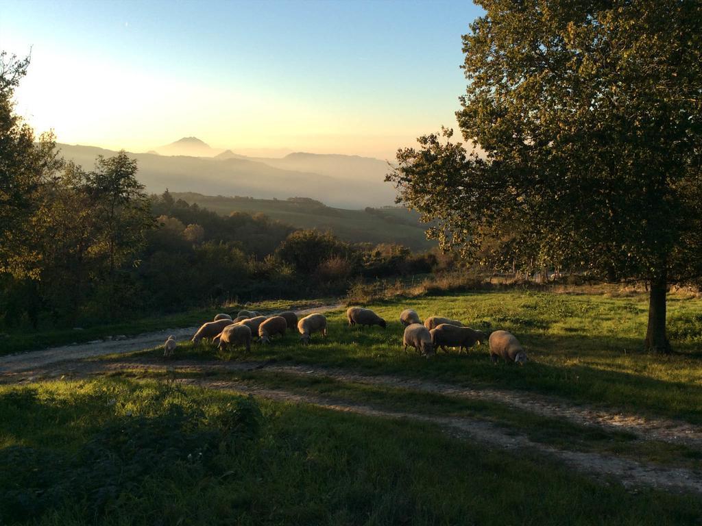 Fattoria Bio L'A Ceccoli Villa Sasso Feltrio Exterior foto