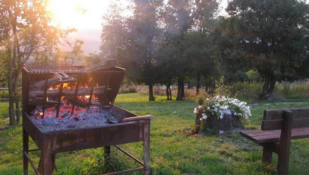 Fattoria Bio L'A Ceccoli Villa Sasso Feltrio Exterior foto