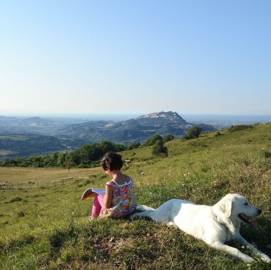 Fattoria Bio L'A Ceccoli Villa Sasso Feltrio Exterior foto