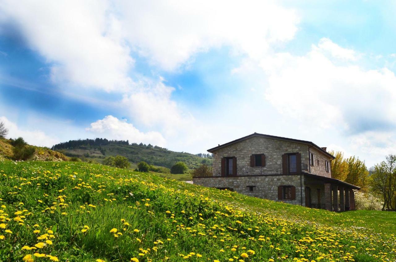 Fattoria Bio L'A Ceccoli Villa Sasso Feltrio Exterior foto