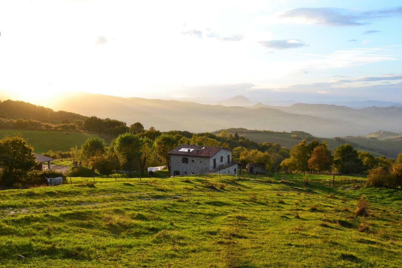 Fattoria Bio L'A Ceccoli Villa Sasso Feltrio Exterior foto