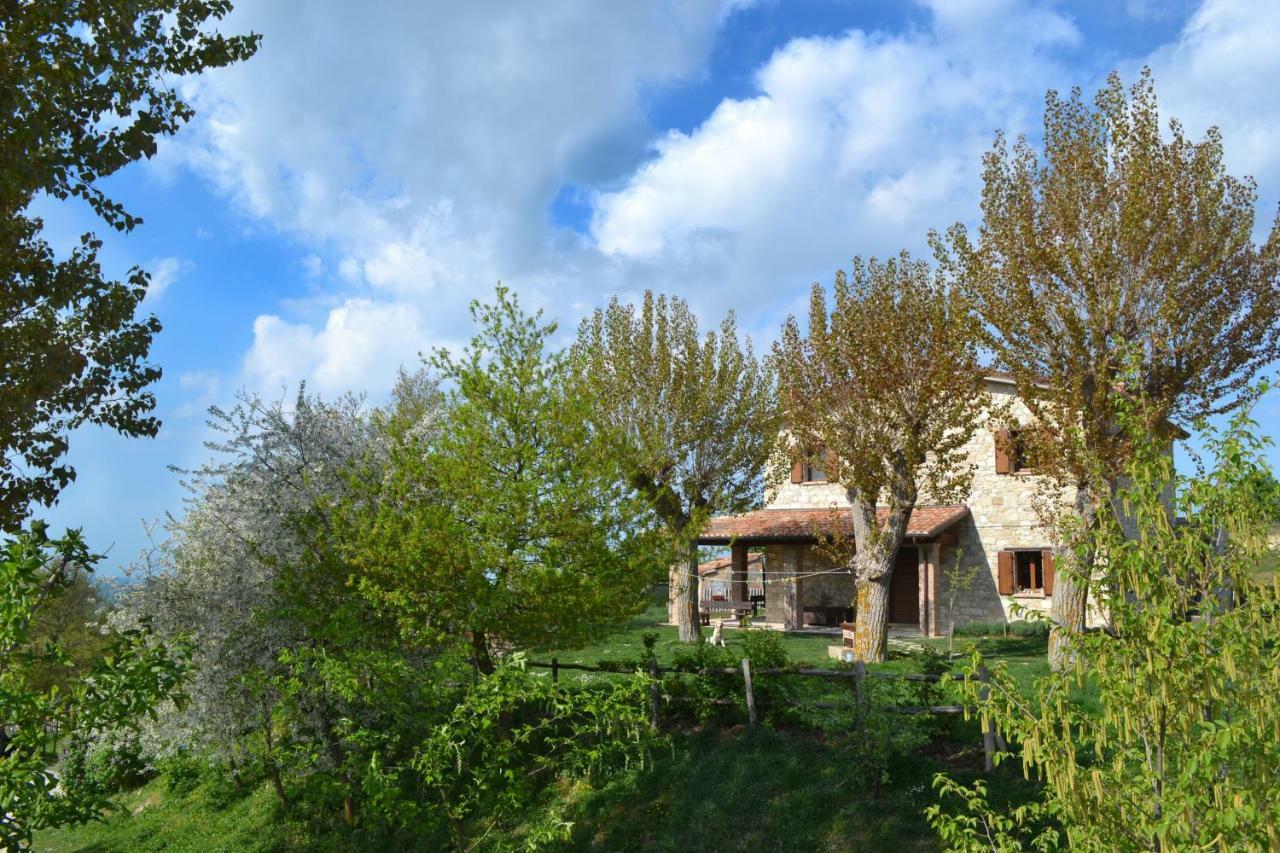 Fattoria Bio L'A Ceccoli Villa Sasso Feltrio Exterior foto